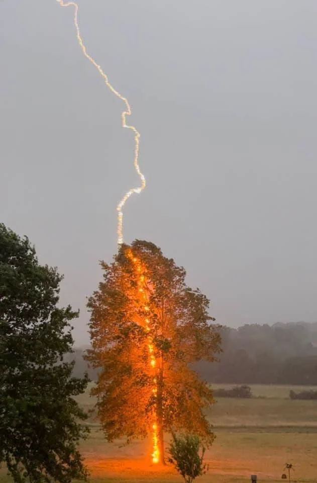 Lightning hit photographed at the right moment, by Debbie P - Extraordinary Coincidences