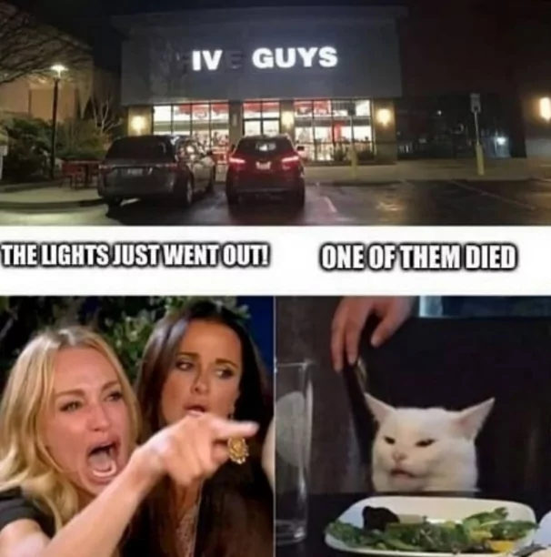 Lights went out - woman yelling at cat memes