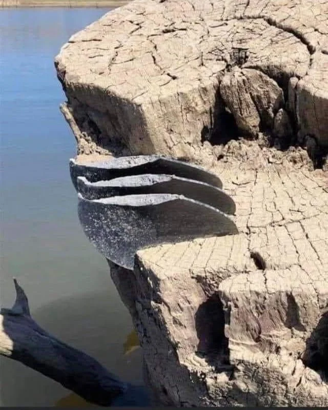 20 Extraordinary Coincidences You Have to See to Believe 8 Low lake levels reveal all three blades of a boat propeller getting imbedded into a tree stump. - Extraordinary Coincidences