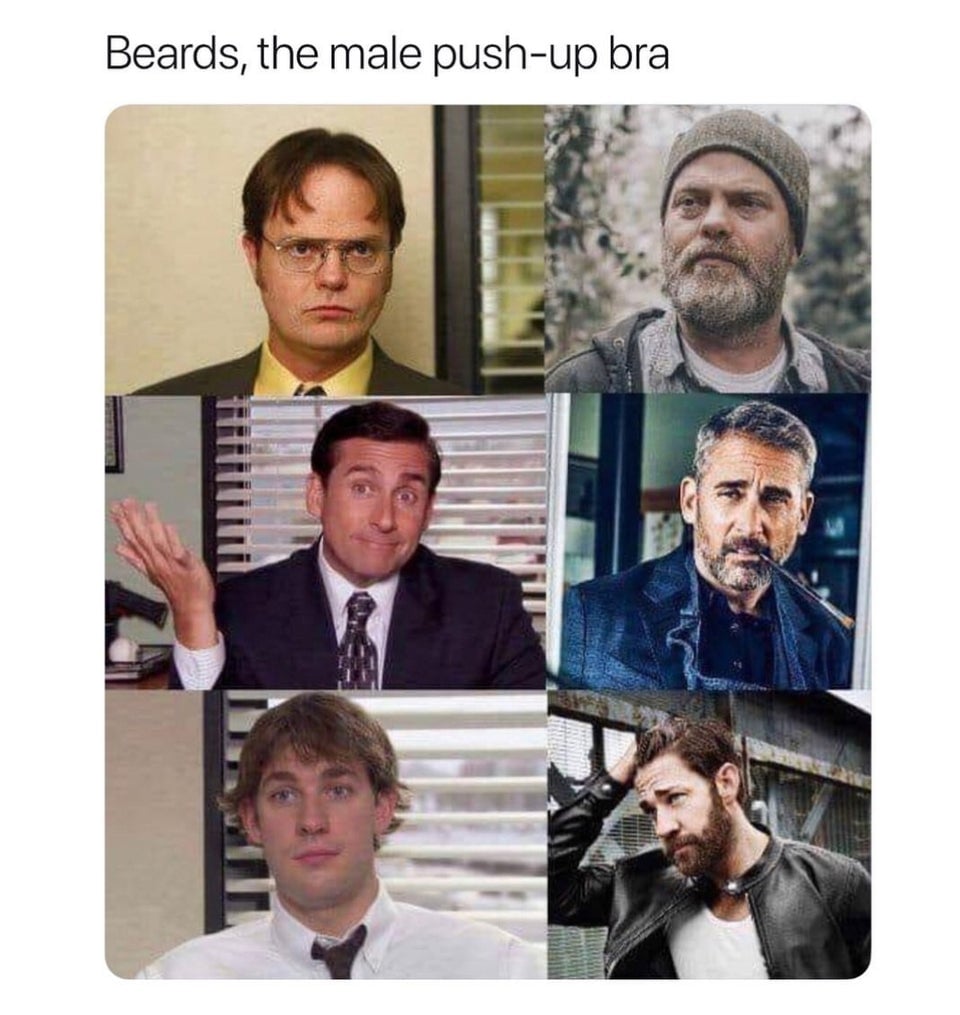 20 Beard Memes to Celebrate Facial Hair on World Beard Day 9 Male pushup bra - Beard Memes