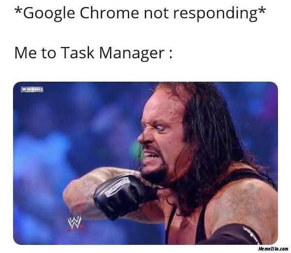 20 Memes That Are Like a Meme Salad—Totally Random and Deliciously Funny 15 Me to task manager