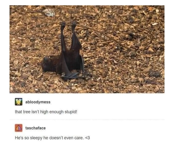 Memes That Will Make You Forget Your To-Do List - FG