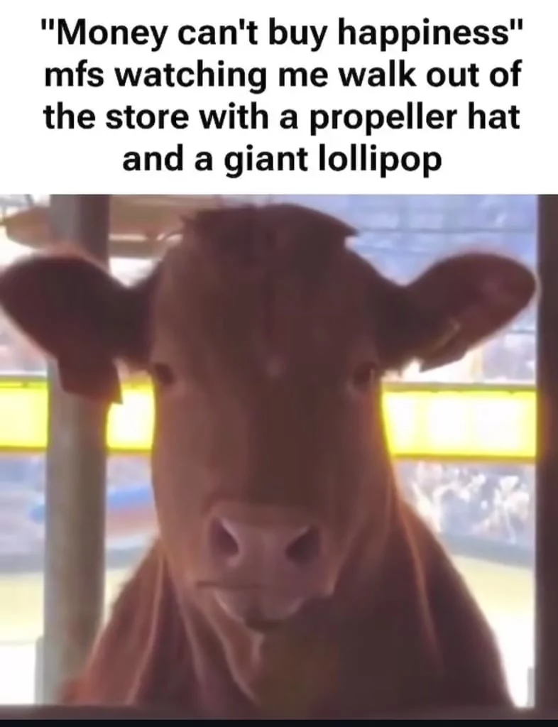 35 Udderly Entertaining Cow Memes That Will Make Your Day Moo-velous! 37 Money cant buy happiness