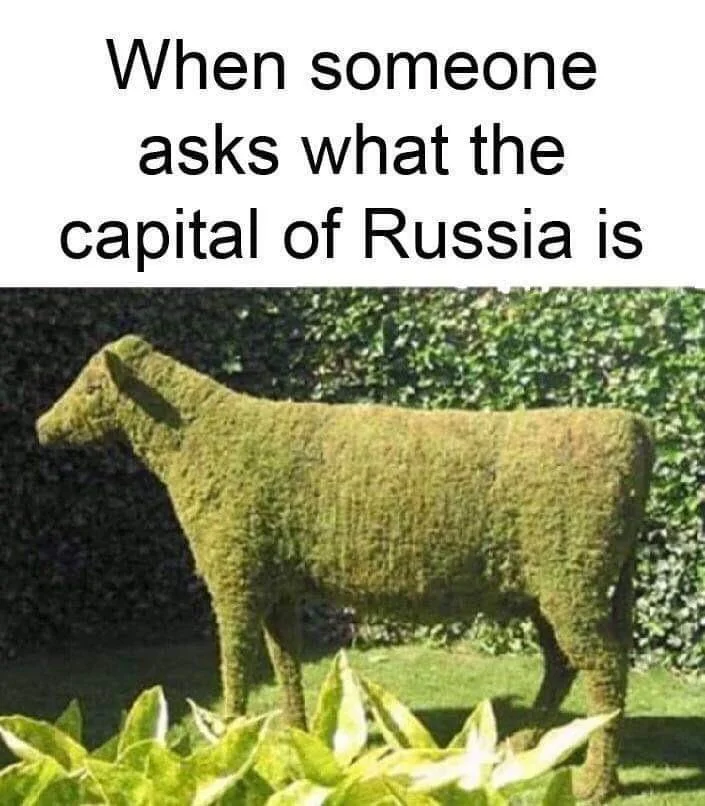 35 Udderly Entertaining Cow Memes That Will Make Your Day Moo-velous! 15 Moscow is beautiful