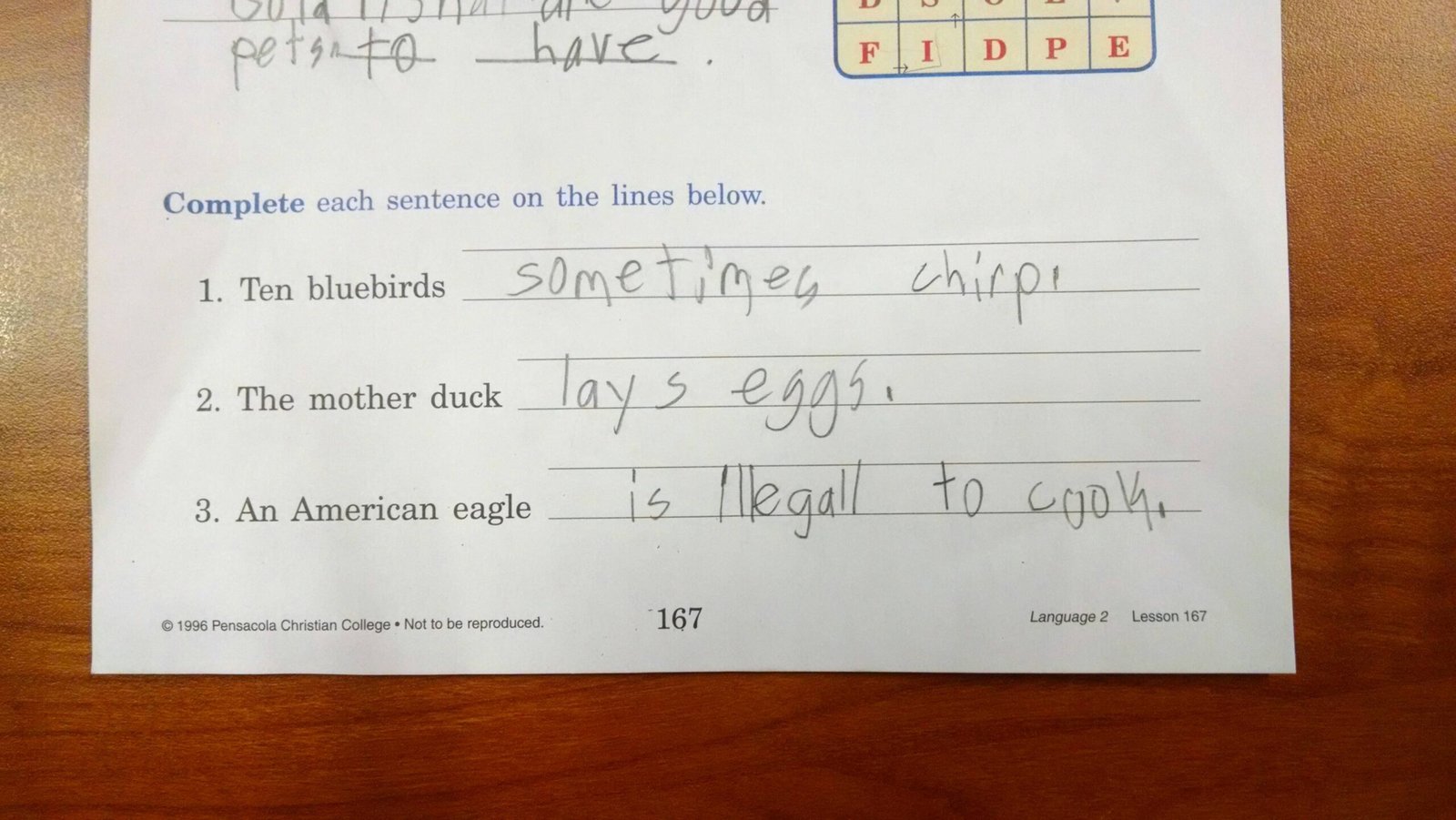 My son, the patriot  - Kids’ Homework