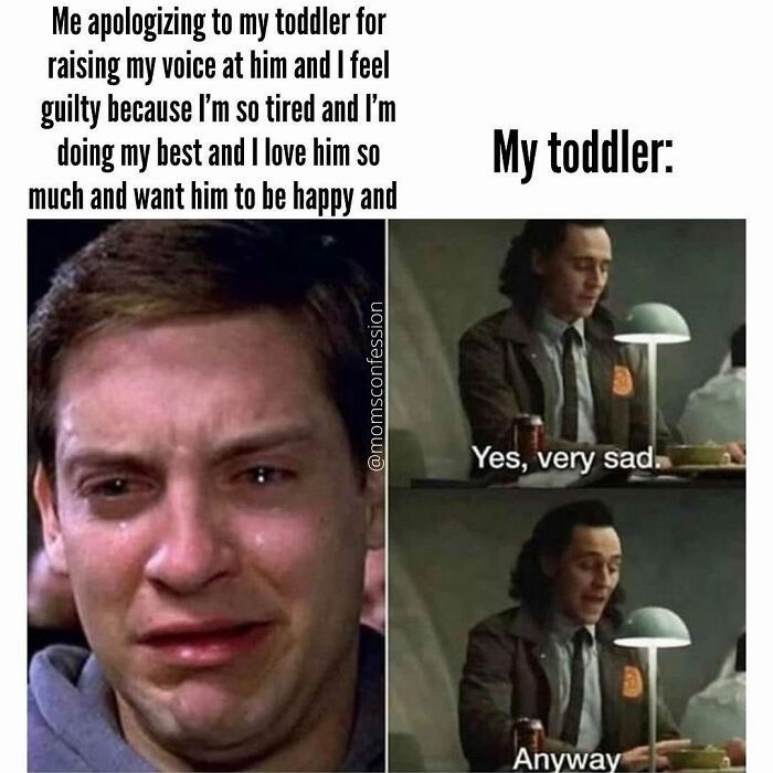 25 Funniest Parenting Memes for When You’ve Got 99 Problems and a Kid is All of Them 25 My toddler