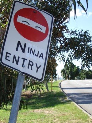 40 Pieces Of Graffiti That Prove World Is Your Canvas 12 ninja entry