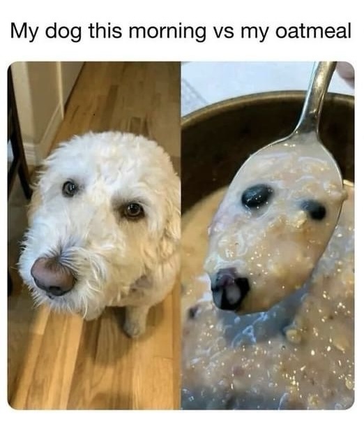 20 Memes to Confuse, Amuse, and Make You Lose Track of Time - 14 Oatmeal