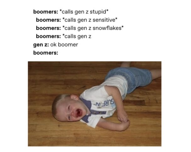 Ok Boomer Memes That Every Millennial Gen Z Will Enjoy FG