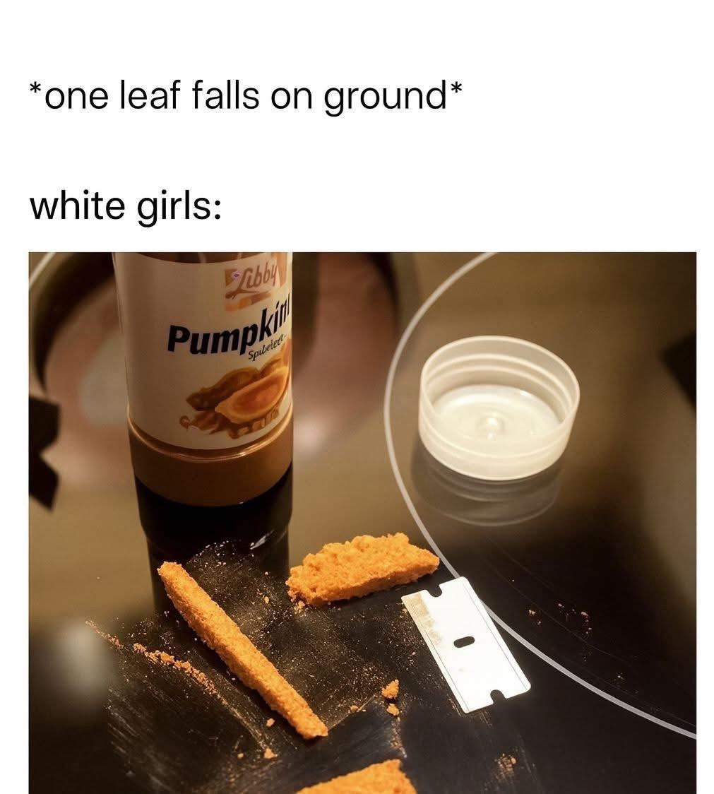 One leaf falls on ground
