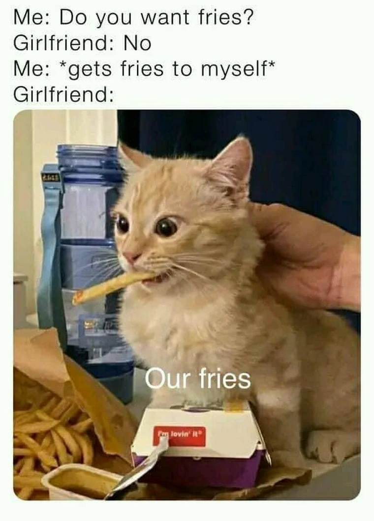 34 Adorable Cat Memes: A Collection Of Purrfect Feline Humor 12 our fries - adorable cat memes