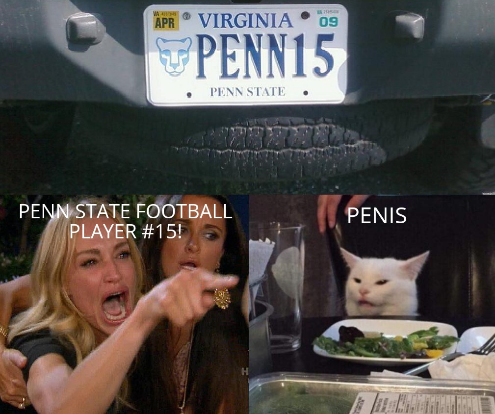 Penn state - woman yelling at cat memes