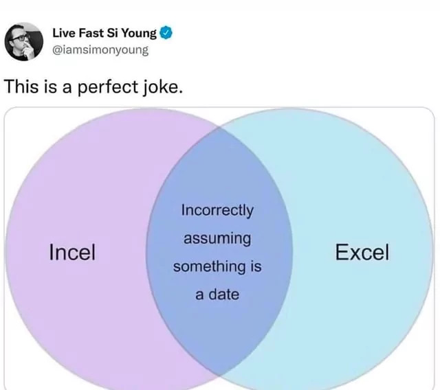 25 Excel Memes That Are the Only Formula You Need for Laughter 23 Perfect joke