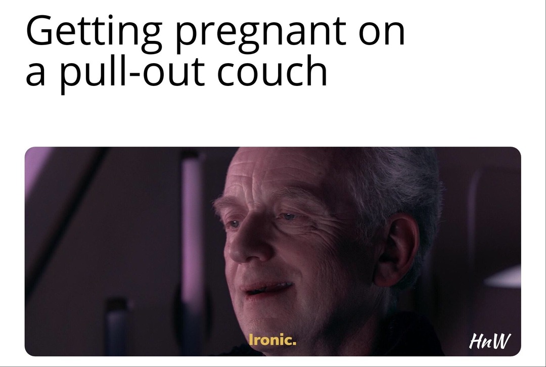 34 Ironic Memes That Show Life Isn't Always Picture Perfect! 11 Pull out couch meme