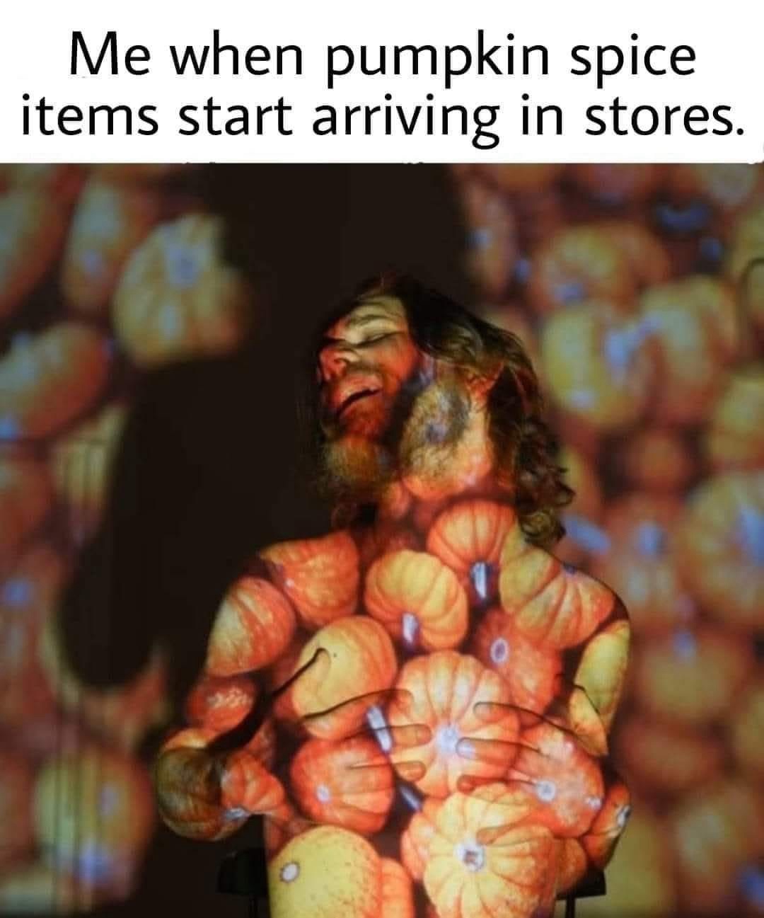 Pumpkin spice items start arriving at store