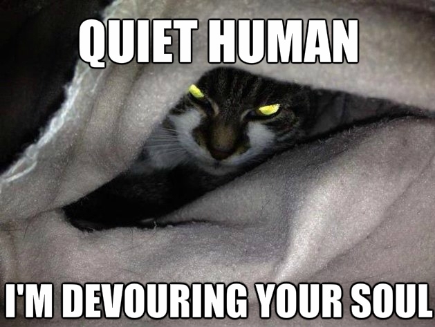 Quiet Human