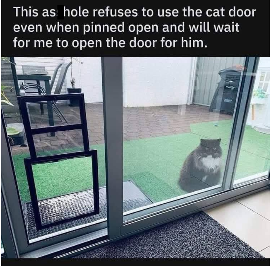 Refuses to use cat door