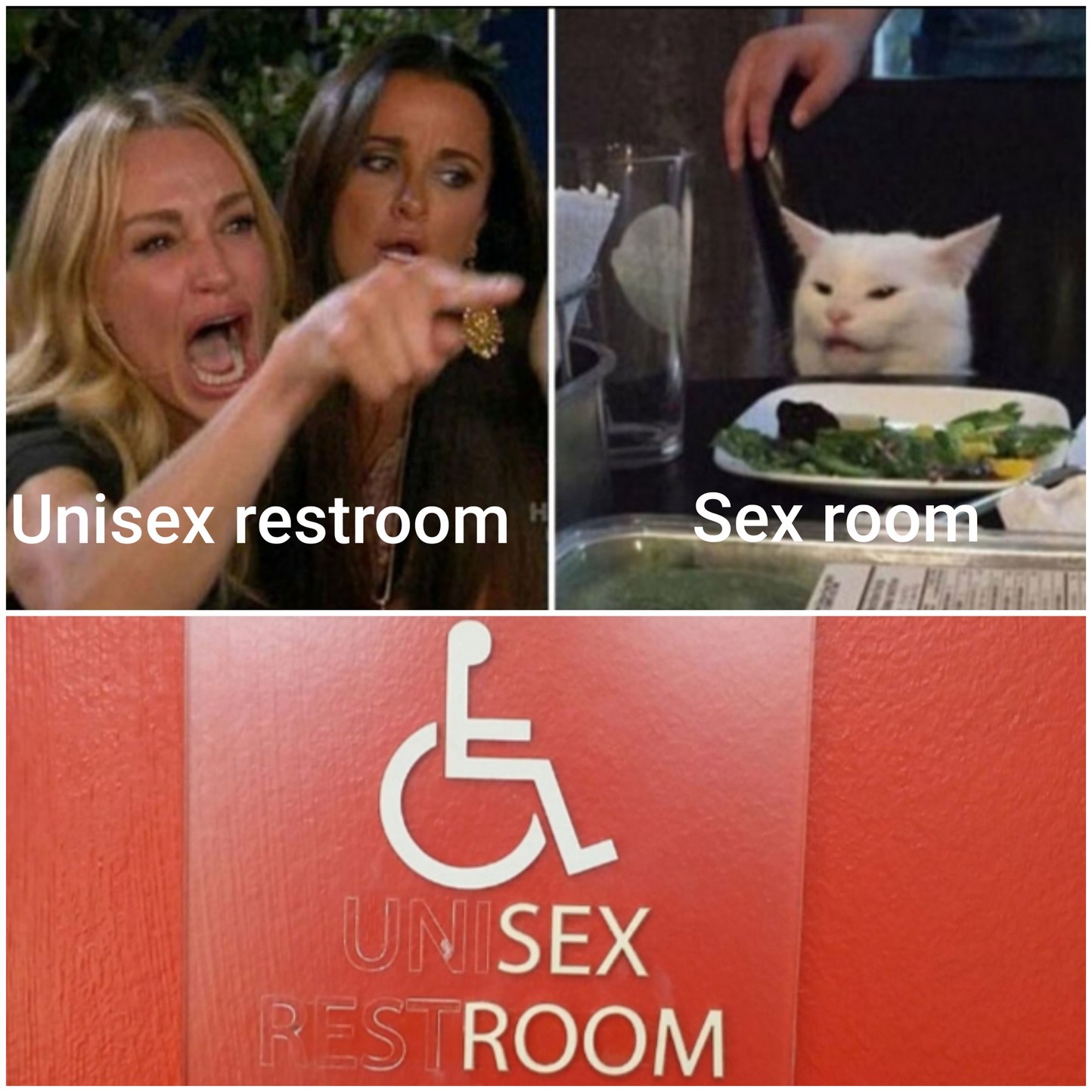 Restroom - woman yelling at cat memes