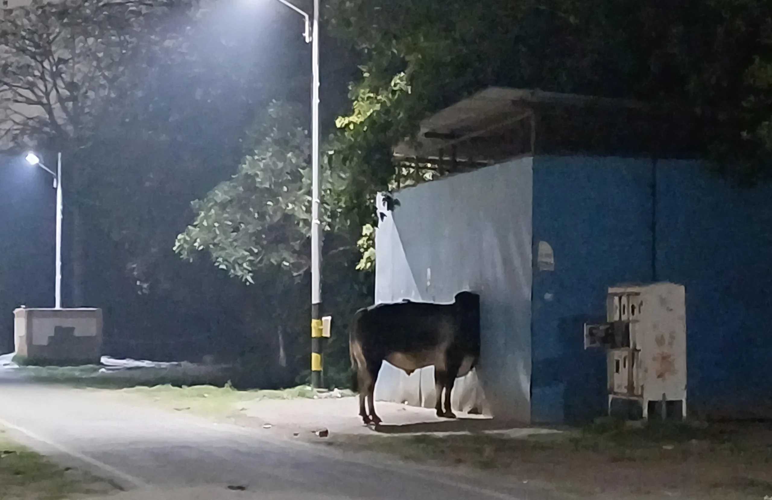 30 Glitches In The Matrix That Will Freak You Out 28 Saw this on a deserted road while driving alone