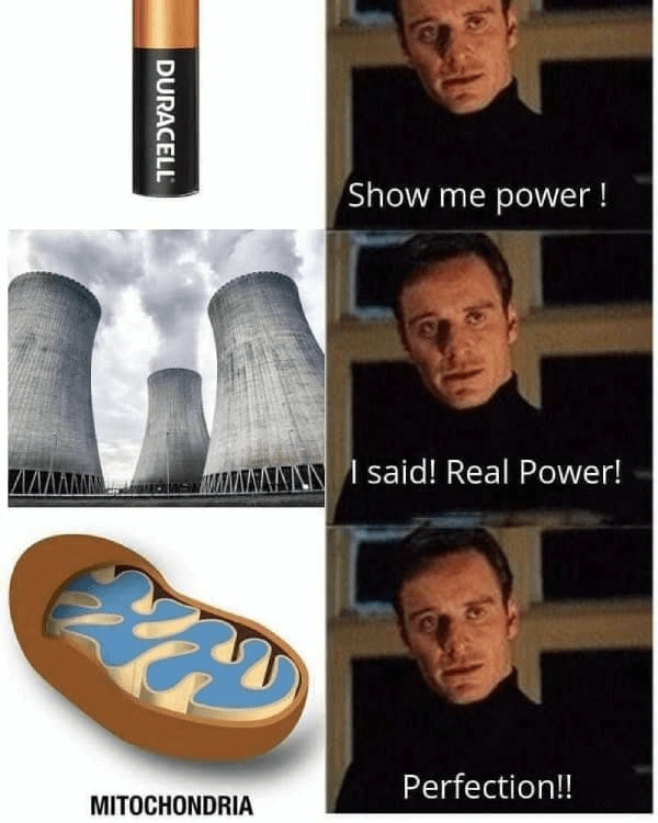 40 Science Memes That Have Been Proven To Cause Laughter 12 Show me power - science memes