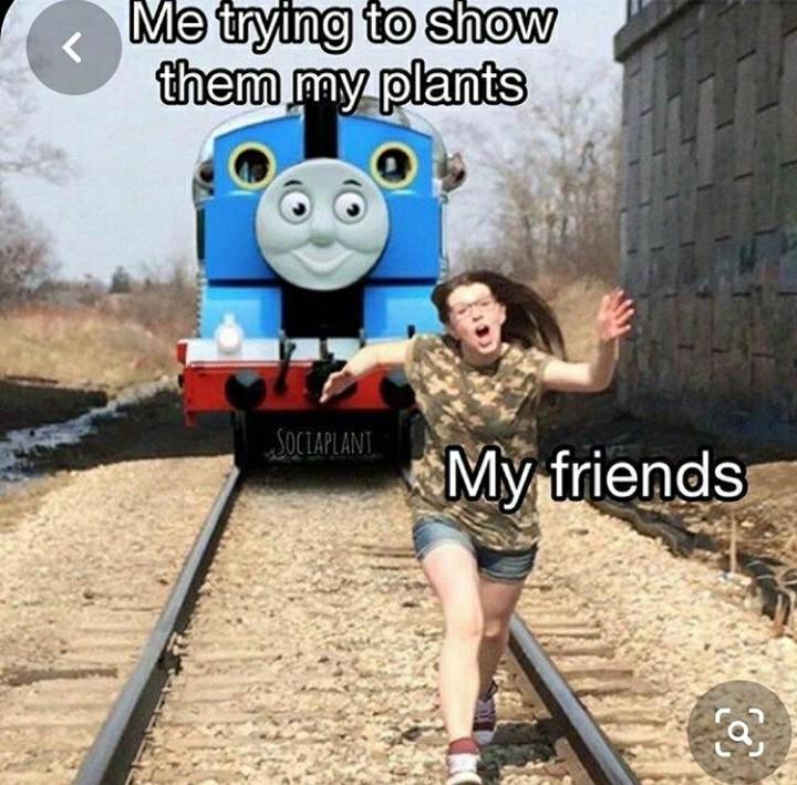 20 Plant Memes That Will Leaf You Laughing 12 Show them my plants - Plant Memes