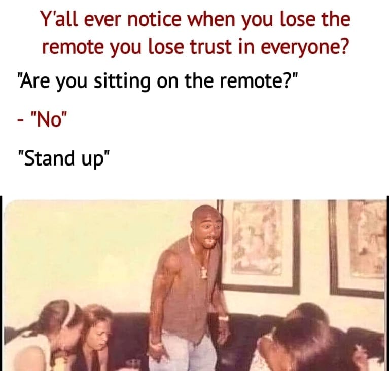 20 Relatable Memes That Speak to Your Soul 11 Sitting on remote - relatable memes