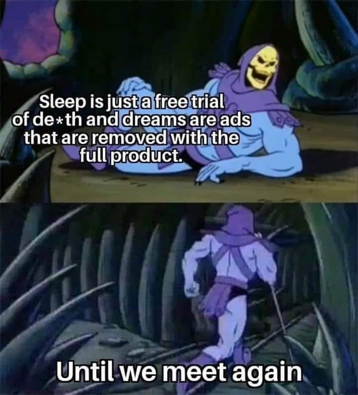 24 Classic Introvert Memes That Celebrate the Art of the Social Escape 15 Sleep is just free trial - Classic Introvert Memes