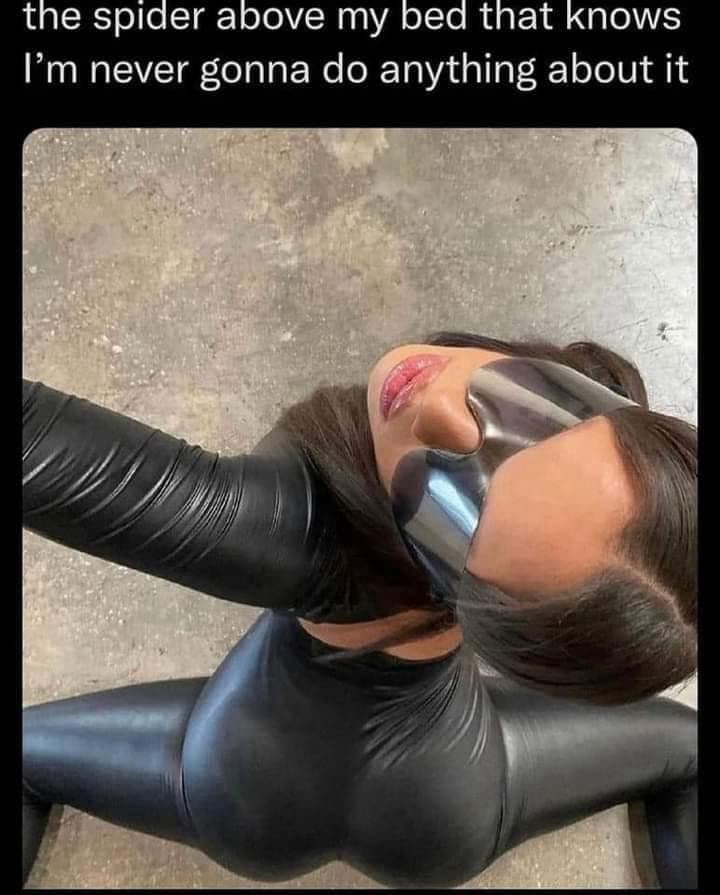 10 Memes That Are a Complete Mixed Bag of Laughs 9 Spider above my head
