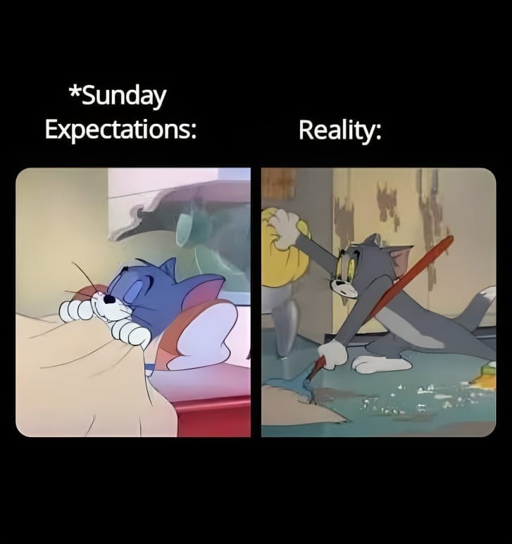 20 Relatable Memes That Speak to Your Soul 14 Sunday expectations - relatable memes