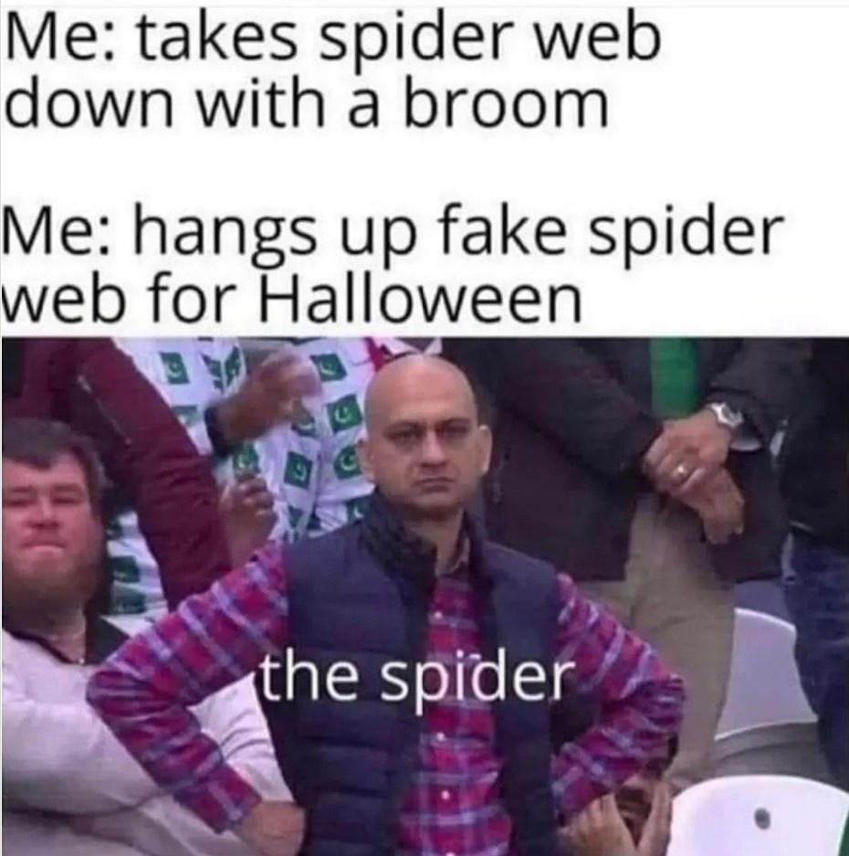 Takes spider web down - Spooky Season Memes