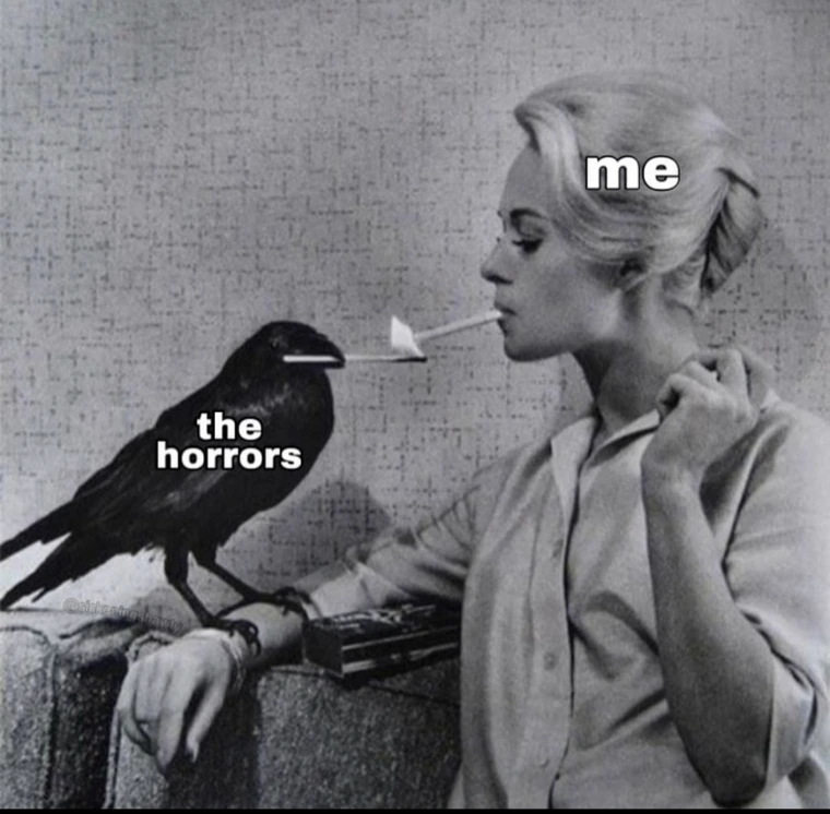 The horrors - Spooky Season Memes