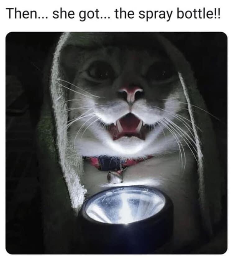 Then she go the spray