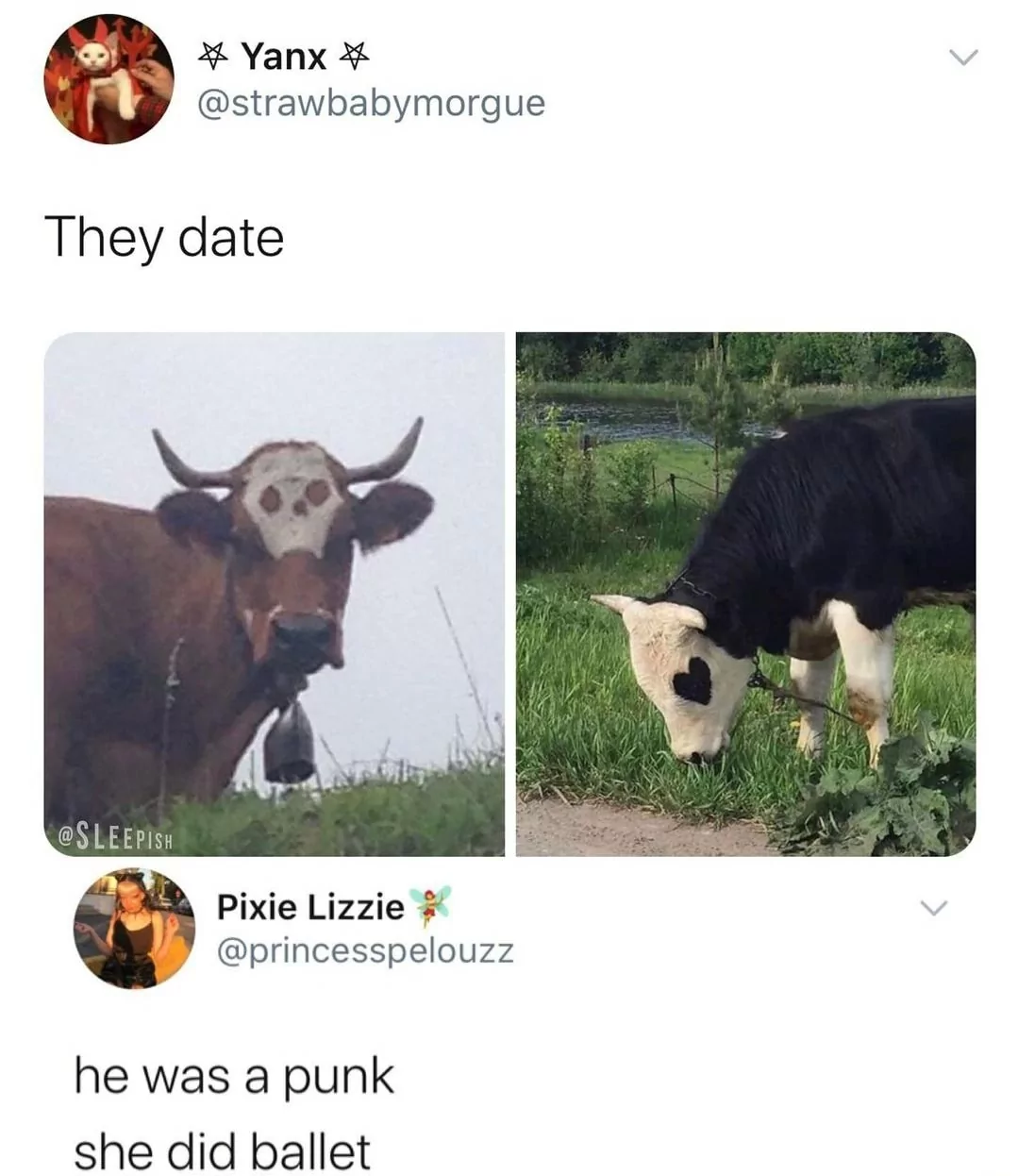 35 Udderly Entertaining Cow Memes That Will Make Your Day Moo-velous! 18 They date