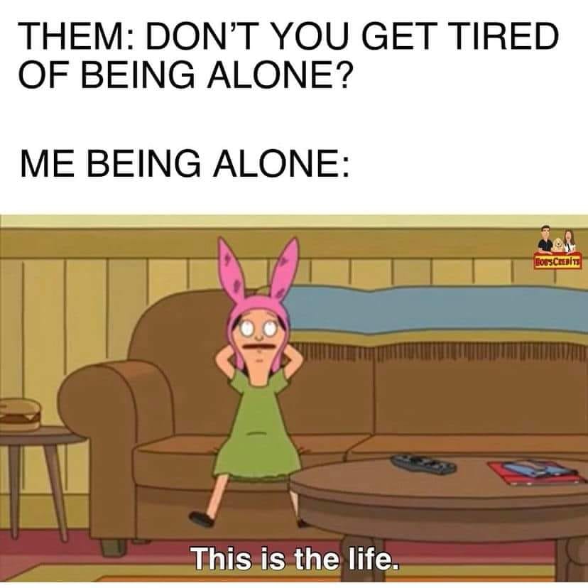 24 Classic Introvert Memes That Celebrate the Art of the Social Escape 16 This is life - Classic Introvert Memes