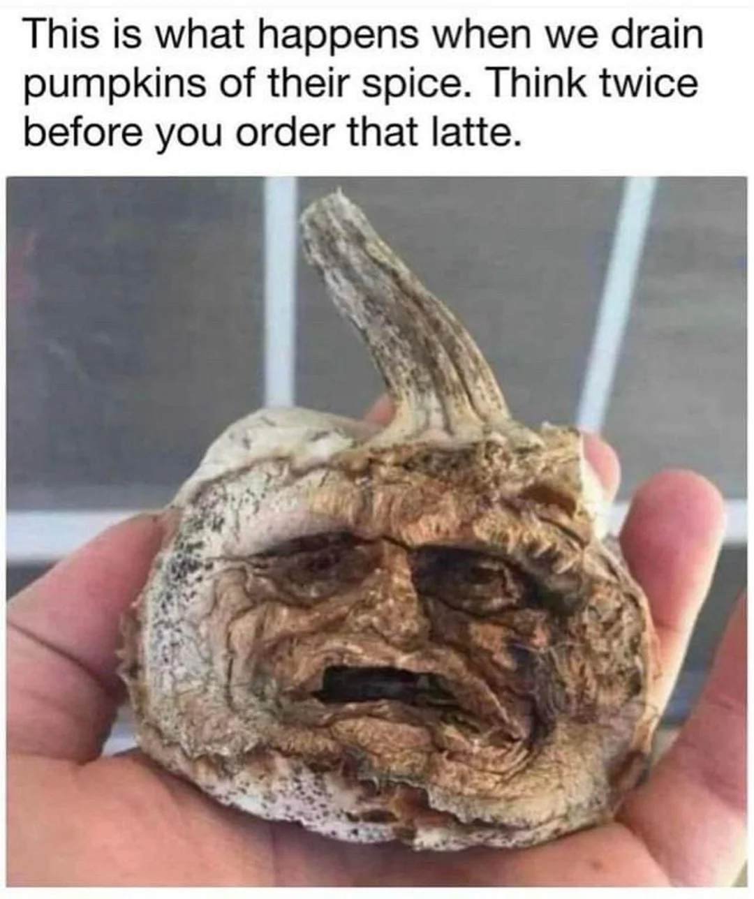 This is what happens