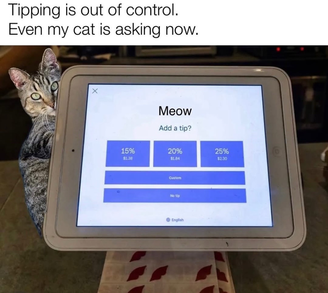 34 Adorable Cat Memes: A Collection Of Purrfect Feline Humor 34 Nobody helps me
