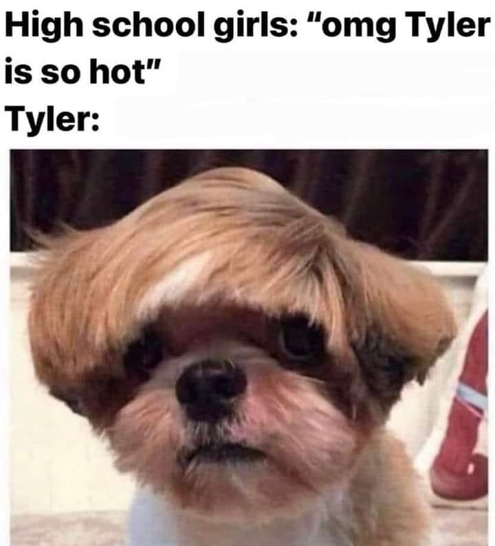 20 Relatable Memes That Speak to Your Soul 17 Tyler is so hot - relatable memes