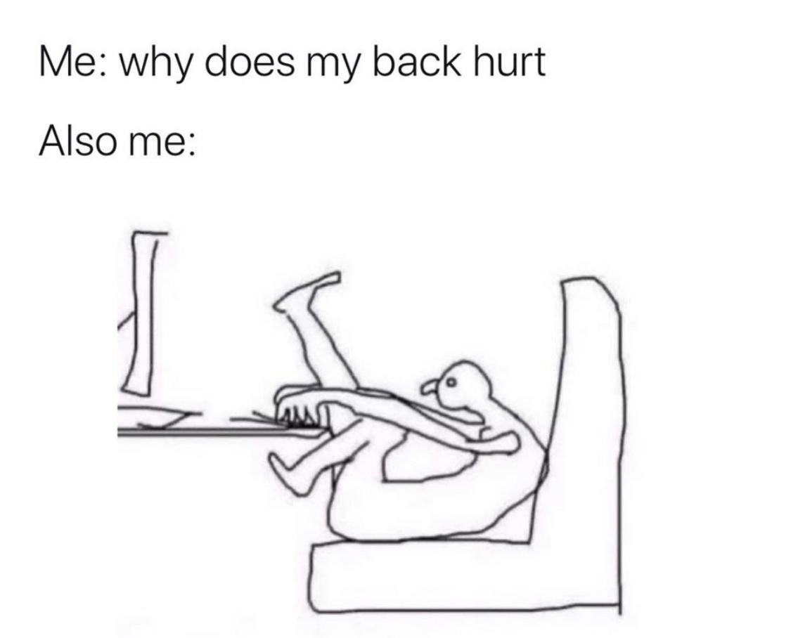 20 Memes That Will Help You Pretend You’re Working Hard 20 WHy does my back hurt