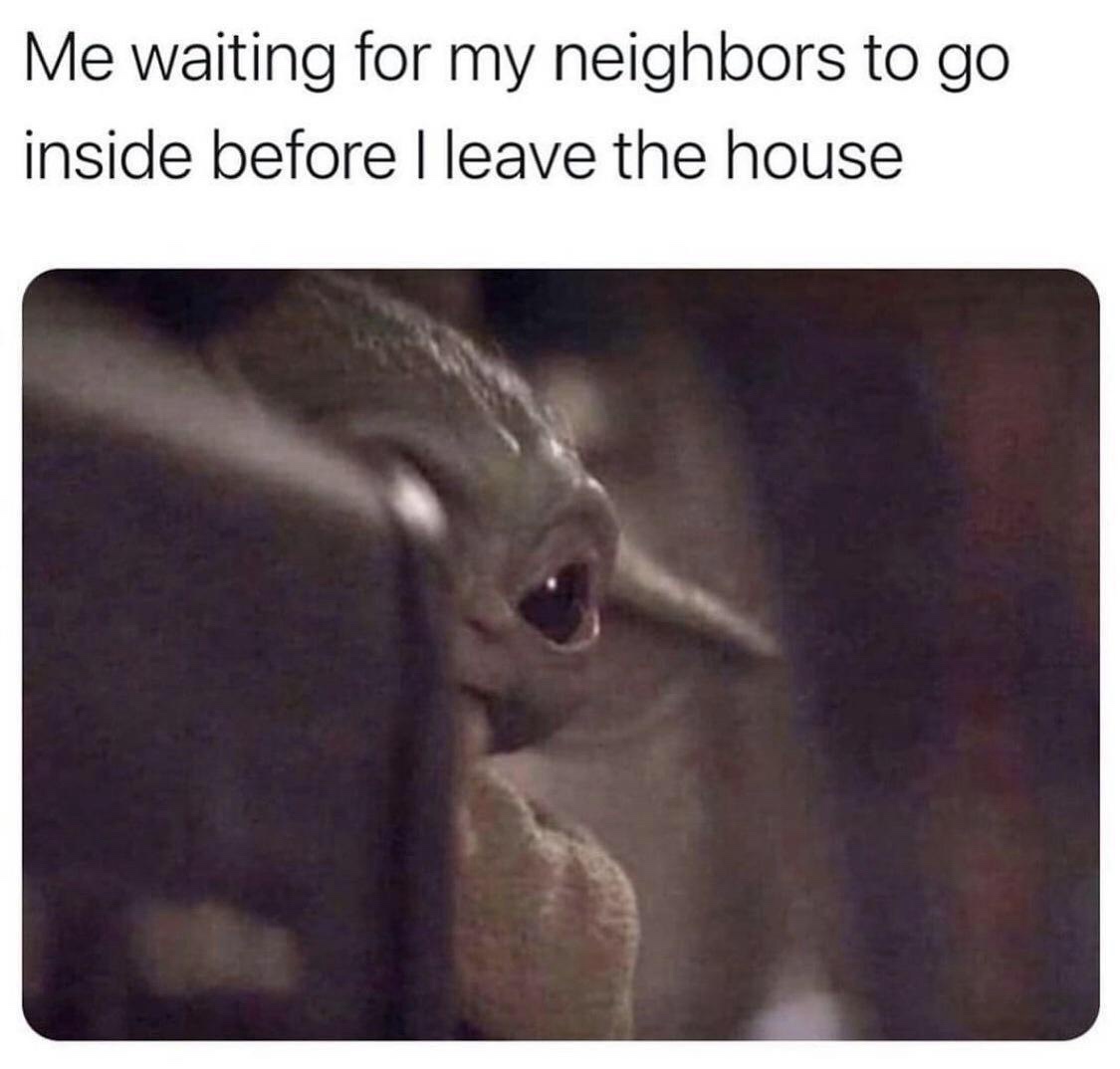 25 Memes So Random, You'll Forget What Day It Is 21 Waiting for my neighbors
