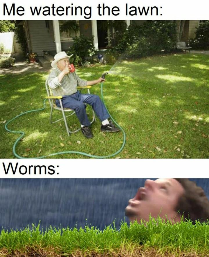 20 Plant Memes That Will Leaf You Laughing 17 Watering the lawn - Plant Memes