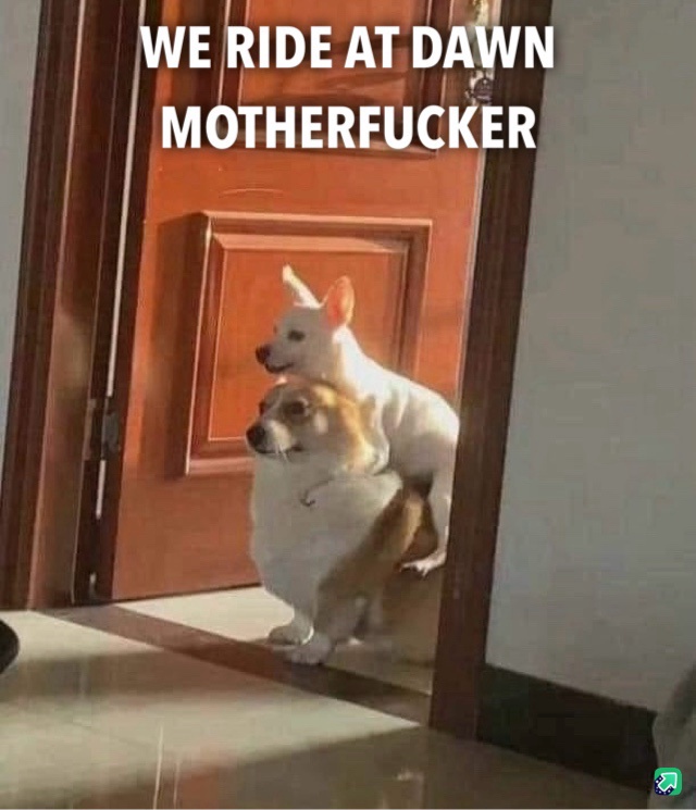 20 Memes That Will Make You Say, “I Wasn’t Ready for This!” 17 We ride at dawn