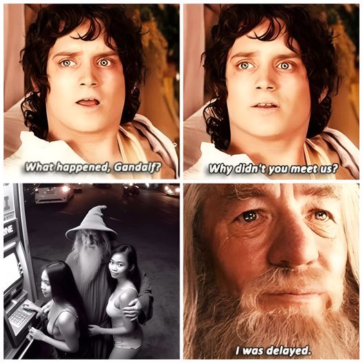 25 LOTR Memes That Will Make You Giggle Like Gollum with the Precious 24 What happend gandalf 2