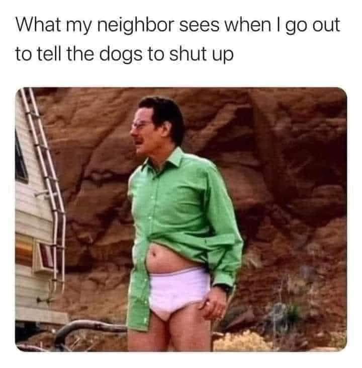 25 Uncensored Memes That Are Dangerously Funny 15 What my neighbors see - Uncensored Memes