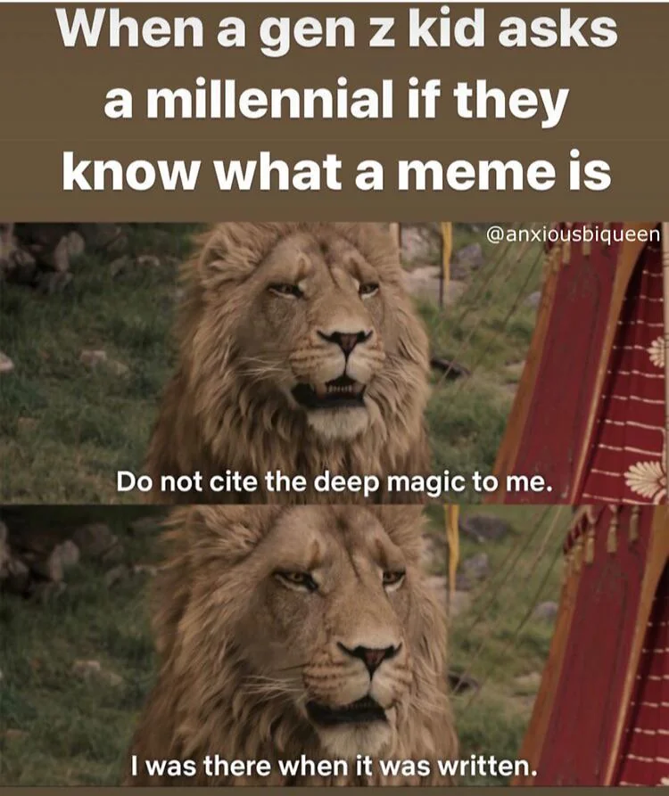 34 Tragic Millennial Memes That Summarize Millennial Life 31 When a gen z kid ask