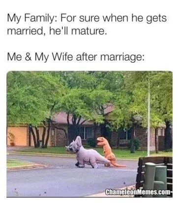 35 Married Memes That Reveal Hidden Secrets Of Married Life 31 When he get marrie