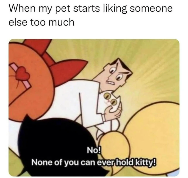 34 Adorable Cat Memes: A Collection Of Purrfect Feline Humor 19 When my pet starts licking someone else - adorable cat memes
