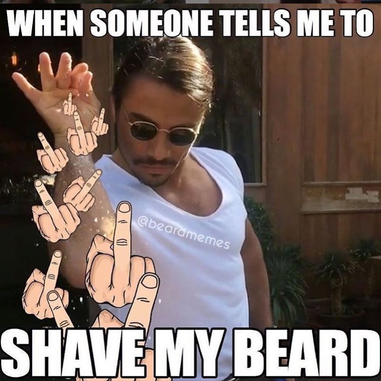 20 Beard Memes to Celebrate Facial Hair on World Beard Day 15 When someone tells you - Beard Memes