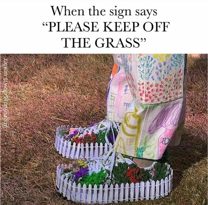 20 Plant Memes That Will Leaf You Laughing 19 When the sign says - Plant Memes