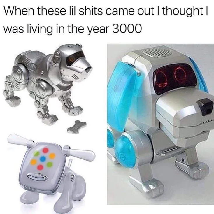 34 Tragic Millennial Memes That Summarize Millennial Life 17 When these lil thing came out