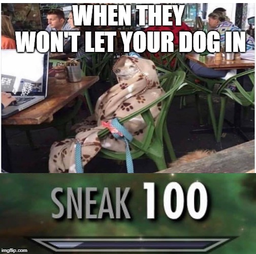 20 Sneak 100 Memes That Are Sneakily Hilarious 22 When they wont let your - Sneak 100 Memes